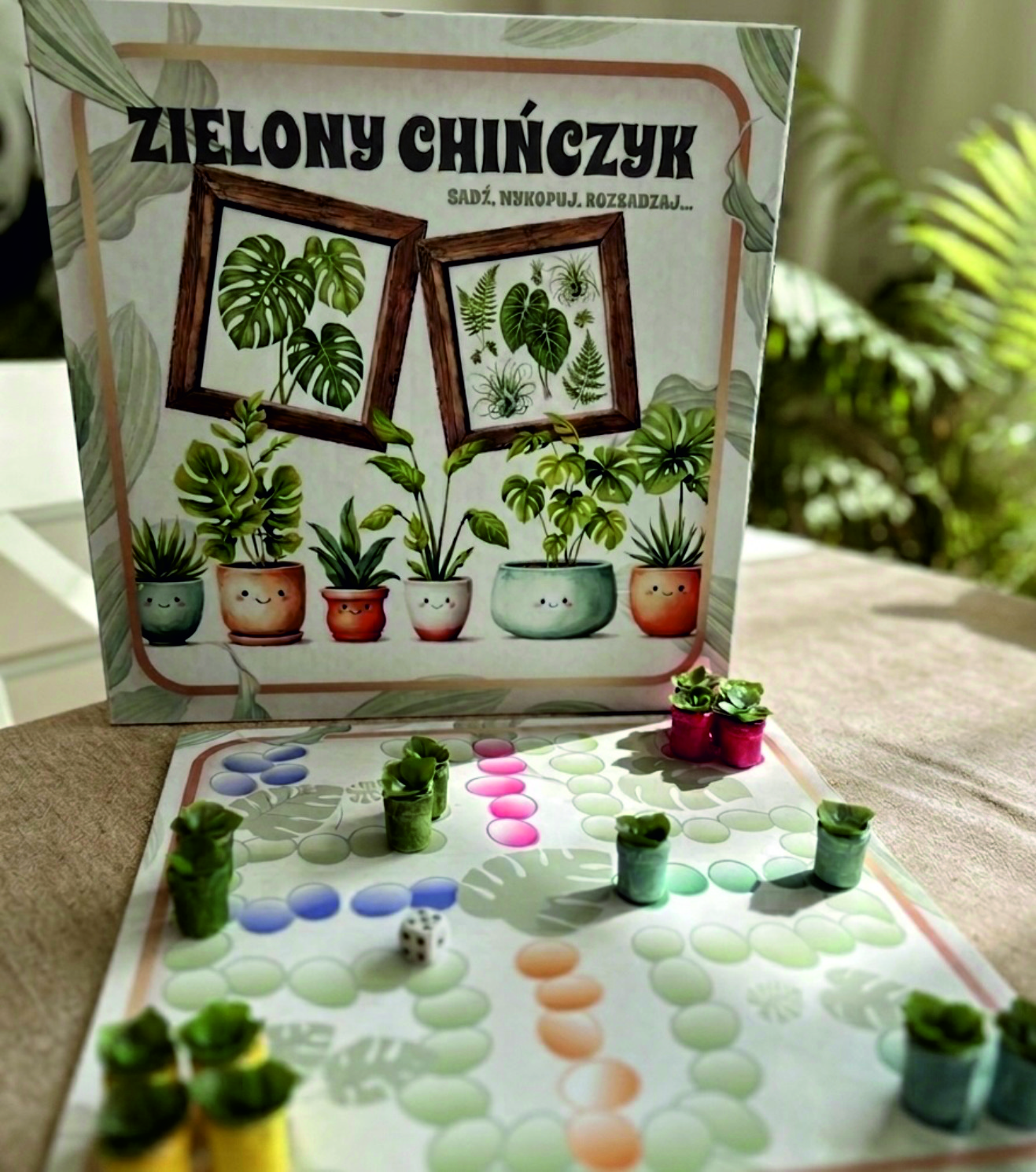 [Zielony Chińczyk]